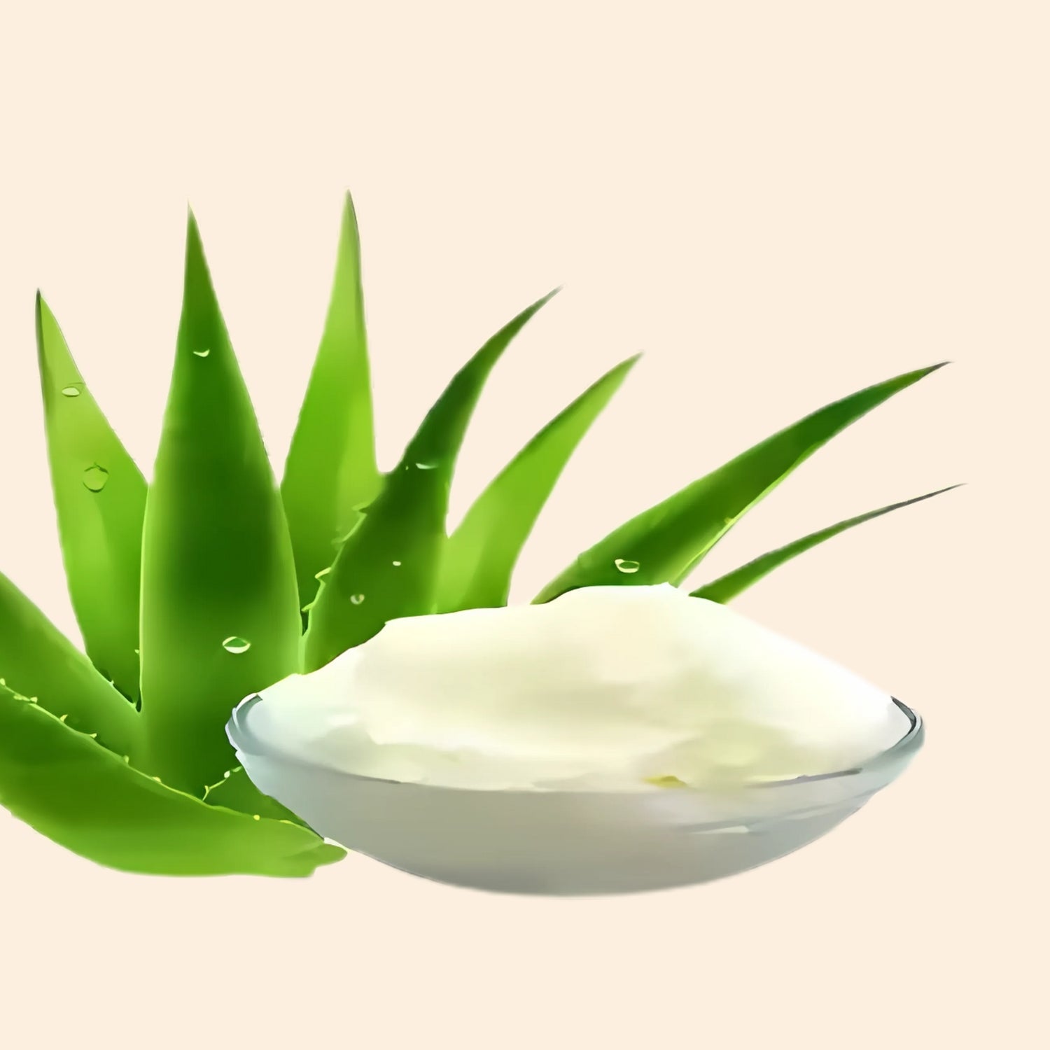 Alovera Butter Alovera Butter
